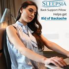 Back Support Pillow for Office Chair: Sleepsia Lumbar Support P