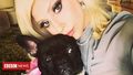Lady Gaga's dogs found safe after armed robbery