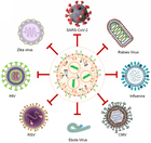 Research And Development of Infectious Disease Vaccines