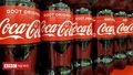 Coca-Cola halts social media ads over hate content
