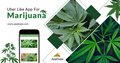 Uber for Marijuana | On-demand Cannabis app | Uber Like App For 